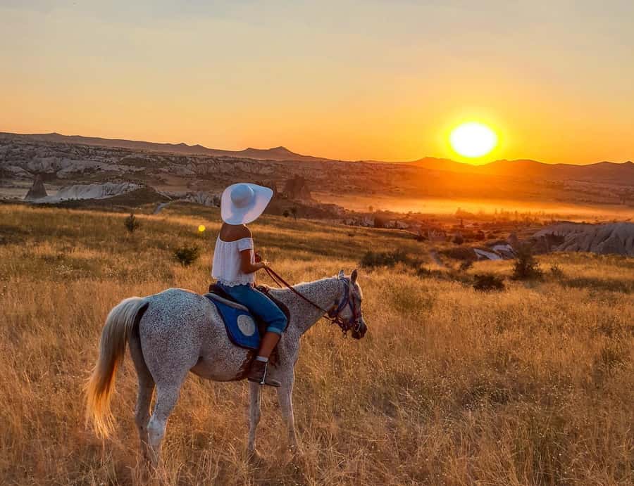 Agadir/Taghazout: Horse Rides Experience With Transfers - From your hotel to the riding area