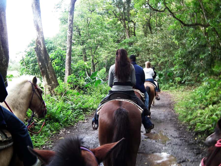 Agadir/Taghazout: Horse Rides Experience With Transfers - A quiet route beside the river