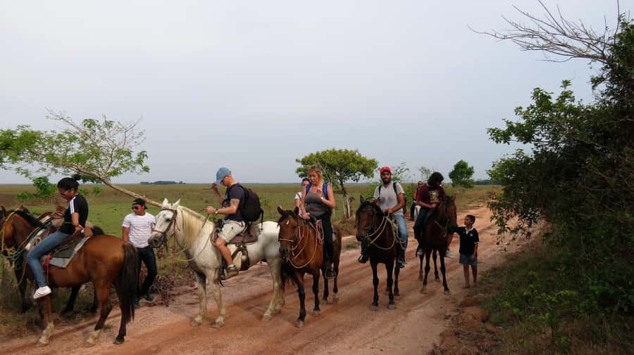 Agadir/Taghazout: Horse Rides Experience With Transfers - Should you book the Agadir horse ride?
