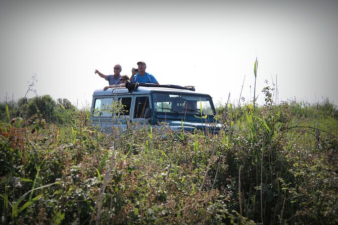 Aigues Mortes: 4x4 photo safari in the Camargue - Is $77.44 a fair price?