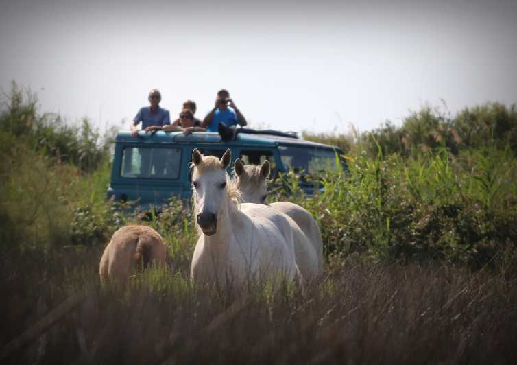 Aigues Mortes: Jeep Photo Safari in Camargue - Key points before you book