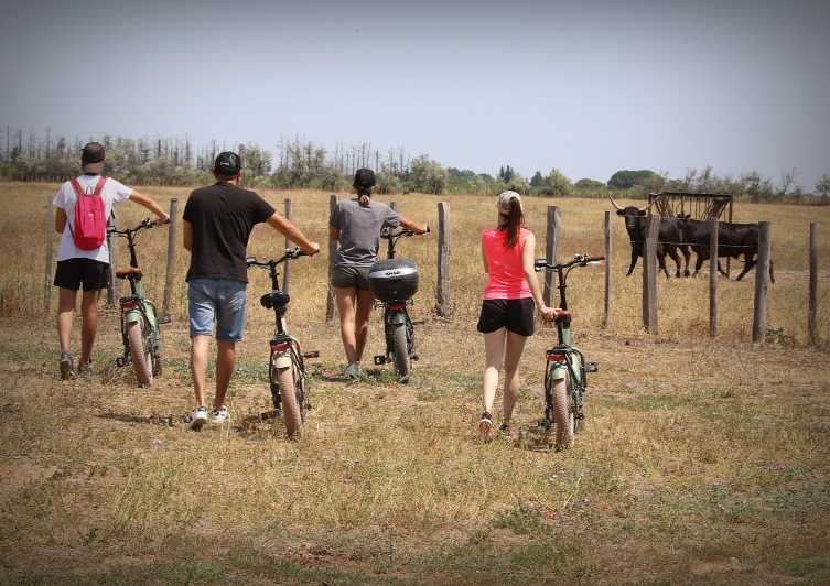 Aigues Mortes: safari en vélo - Ebike tour in Camargue - Key points at a glance