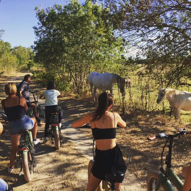 Aigues Mortes: safari en vélo - Ebike tour in Camargue - Riding out from Aigues Mortes