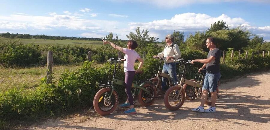Aigues Mortes: safari en vélo - Ebike tour in Camargue - Small group, simple logistics
