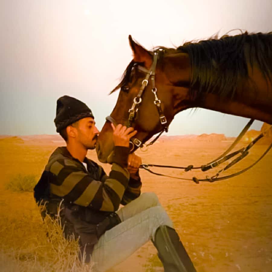 Al-Ula: Guided Horse Riding - Key points before you book