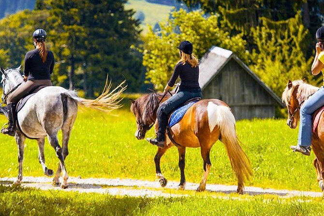 Alanya Horse Riding Experience With Free Hotel Transfer - Is $90 a Fair Price?