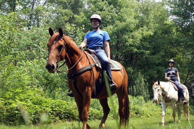 Alanya Horse Riding Experience With Free Hotel Transfer - Who Will Enjoy This Ride Most?