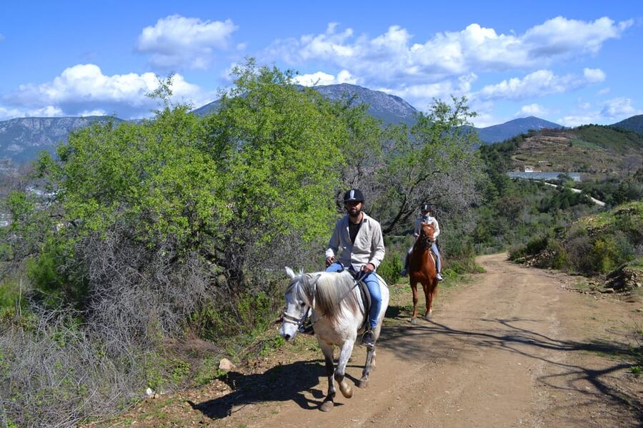 Alanya: Horse Riding Tour - Meeting the Horses and Getting Ready