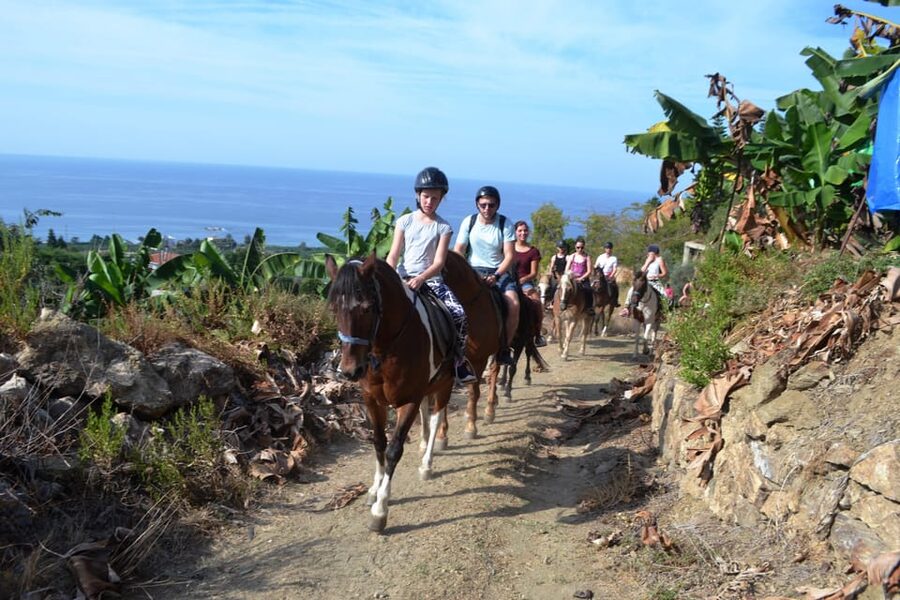 Alanya: Horse Riding Tour - What $77 Buys You