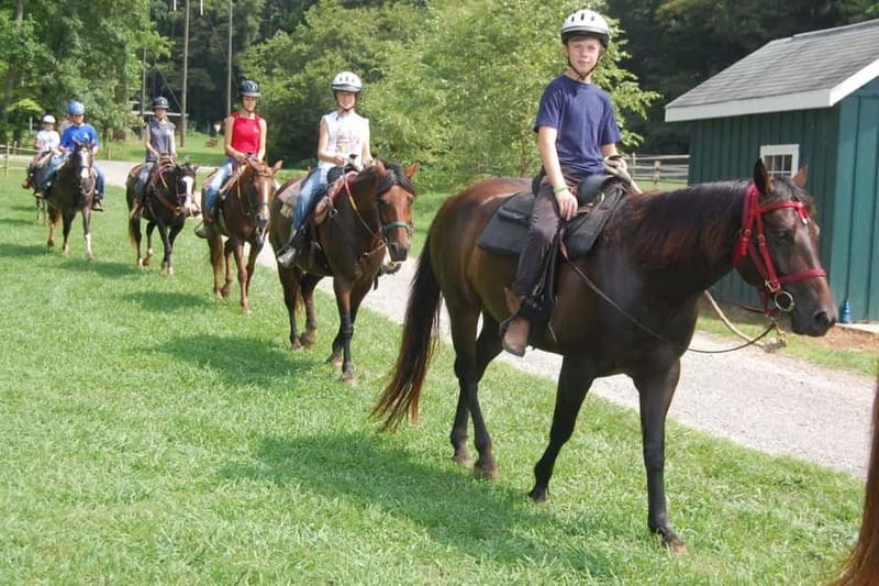 Alanya: Horse Riding Tour with Hotel Transfers - What the $89 price really covers