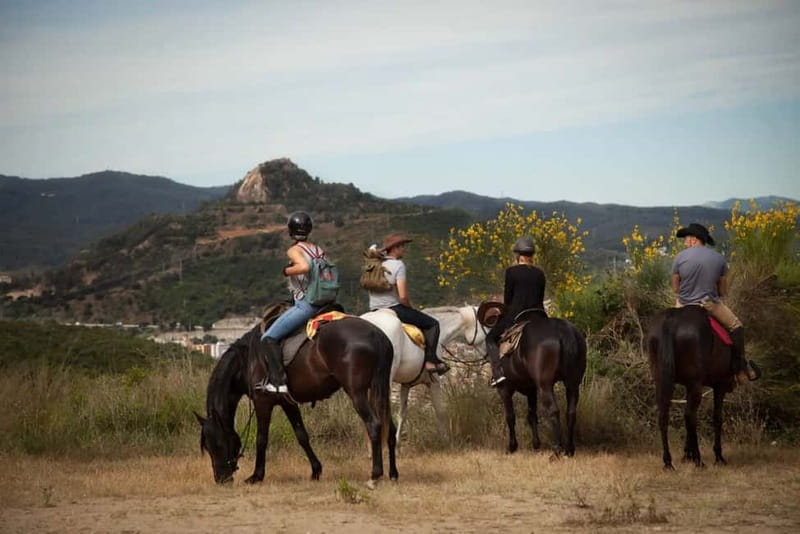 Alanya: Horse Riding Tour with Hotel Transfers - Who will enjoy this ride most