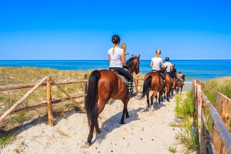 Alanya: Horse Riding Tour with Hotel Transfers - Following forest trails above the Mediterranean