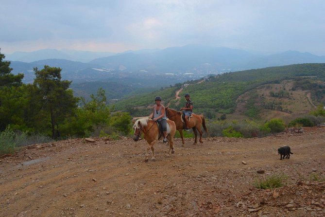 Alanya: Horseback Ride Through Nature near Syedra Ruins - What the guides and horses add