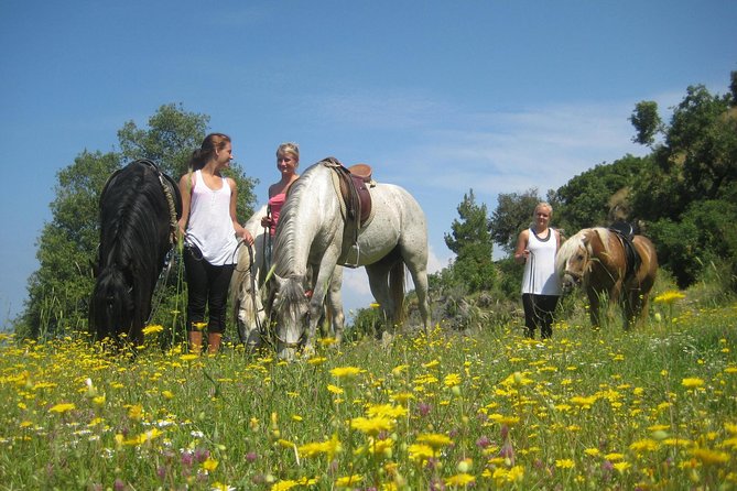 Alanya: Horseback Ride Through Nature near Syedra Ruins - Should you book the Syedra horseback ride?