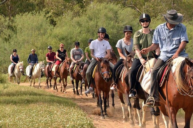 Alanya Horseback Riding Experience - Meeting the horses at a family-run farm