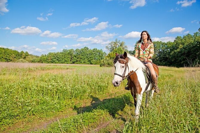 Alanya Horseback Riding Experience - Why beginners may feel comfortable