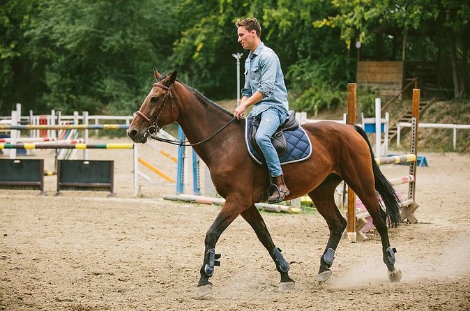 Alanya Horseback Riding Experience - A fair look at horse welfare and safety