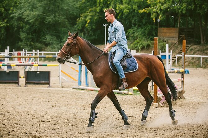 Alanya Horseback Riding Experience - Who will enjoy this most