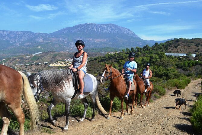 Alanya: Horseback Riding in Taurus: Forest Sea Views 2.5 Hours - Why this ride works as an Alanya escape