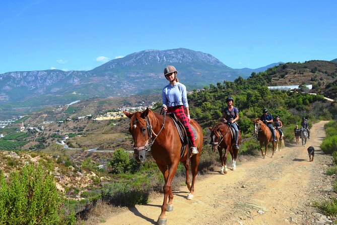 Alanya: Horseback Riding in Taurus: Forest Sea Views 2.5 Hours - Getting comfortable with the horses
