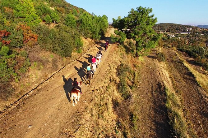 Alanya: Horseback Riding in Taurus: Forest Sea Views 2.5 Hours - Roman ruins add a useful layer