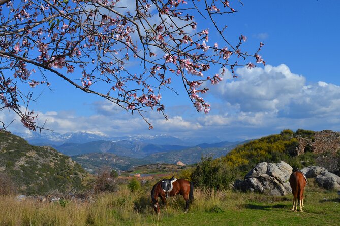 Alanya: Horseback Riding in Taurus: Forest Sea Views 2.5 Hours - Is $84.29 good value?