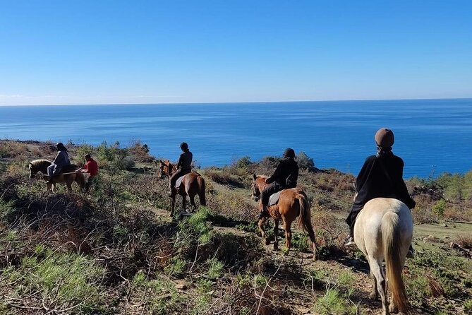 Alanya Horseback Riding in the Taurus Mountains with Transfer - Is $74.72 a fair price?