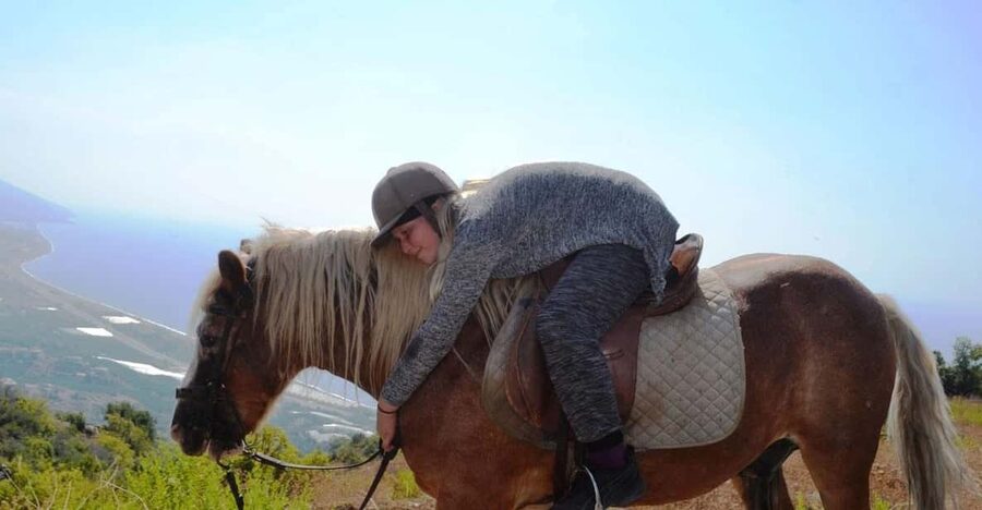Alanya: Private Horse Safari - Pickup from the hotel area