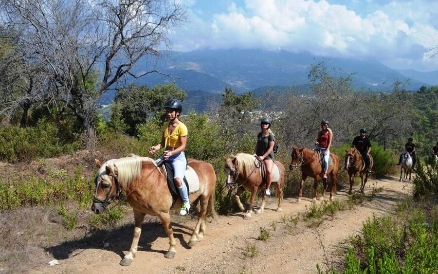Alanya: Private Horse Safari - Who should book this horse safari