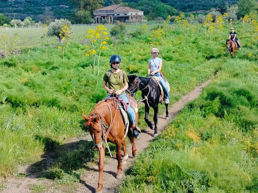 Alcantara: Horseback riding through gorges, Byzantine Cuba, and nature - Riding from Castiglione di Sicilia to the Alcantara River