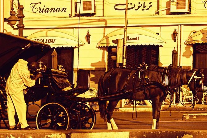 Alexandria Horse Carriage Tour - Seeing Alexandria from the Corniche