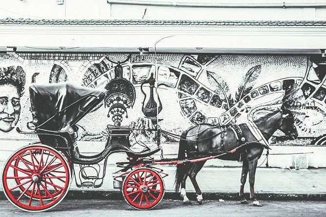 Alexandria Horse Carriage Tour - The private carriage makes the pace more personal