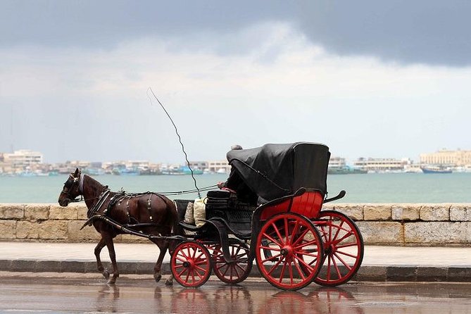 Alexandria Horse Carriage Tour - Mosques, public spaces, and local culture