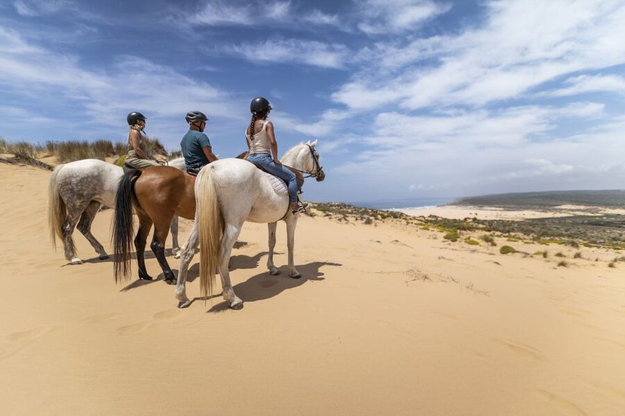 Algarve: 1-Hour Carrapateira Horseback Riding Tour - Why Carrapateira is a fine place to ride