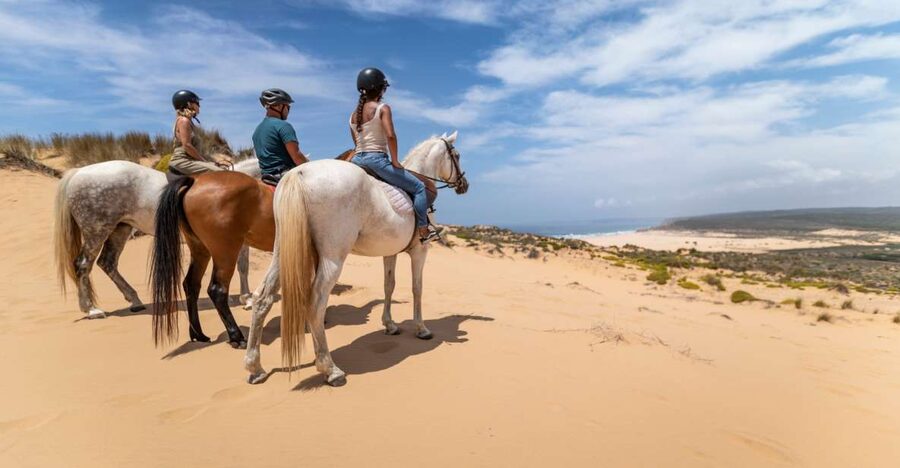Algarve: 1-Hour Carrapateira Horseback Riding Tour - Meeting your horse before the trail