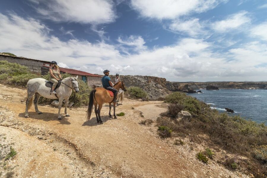 Algarve: 1-Hour Carrapateira Horseback Riding Tour - The horses and care standards