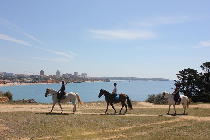 Algarve - Exclusive horseriding in Portimao (no experience required) - Key points to know before you book