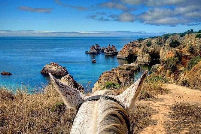 Algarve - Exclusive horseriding in Portimao (no experience required) - From Alvor’s meeting point to the saddle