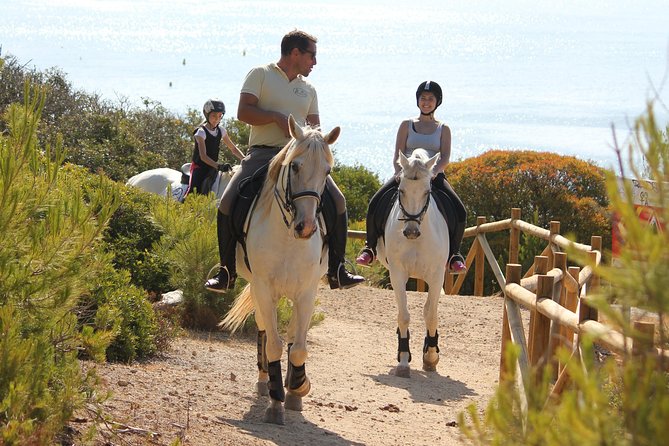 Algarve - Exclusive horseriding in Portimao (no experience required) - Through shaded pine trails and sandy paths