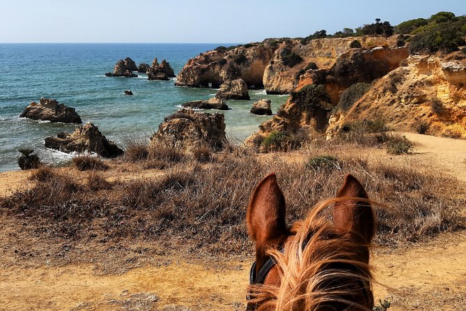 Algarve - Exclusive horseriding in Portimao (no experience required) - How beginner-friendly is the ride?