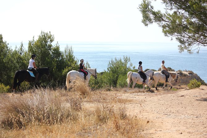 Algarve - Exclusive horseriding in Portimao (no experience required) - Why the small group improves the experience