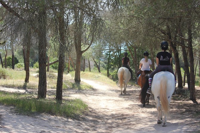 Algarve - Exclusive horseriding in Portimao (no experience required) - Meeting rescue horses with calm temperaments