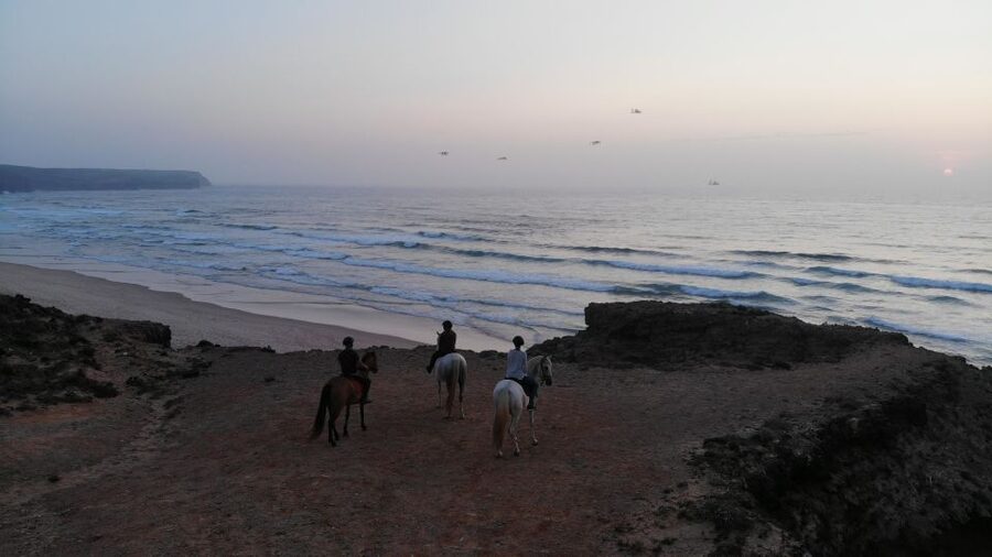 Algarve: Horse Riding Beach Tour at Sunset or Morning - Pine forests before the Atlantic