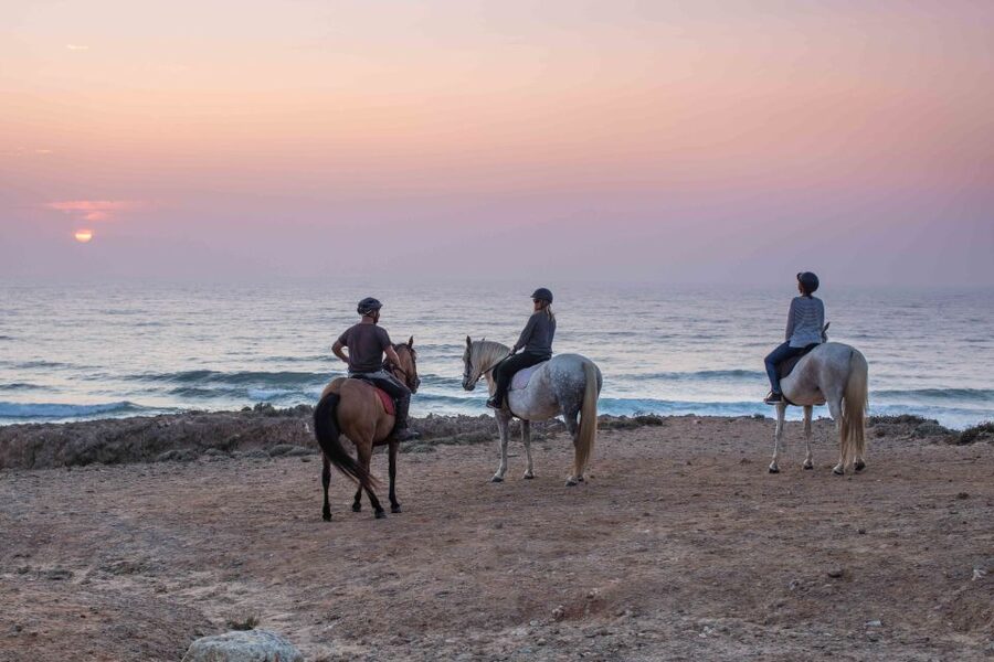 Algarve: Horse Riding Beach Tour at Sunset or Morning - What the horses and guides add