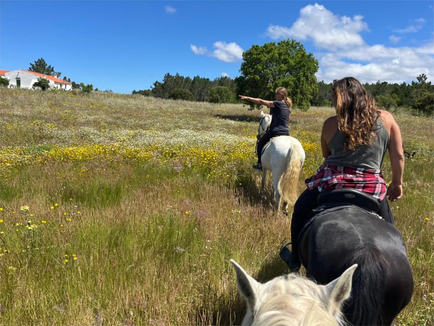 Algarve Horseriding tour in the countryside of Aljezur Rogil - Languages, safety, and the right kind of atmosphere