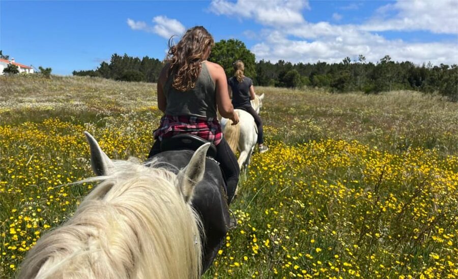 Algarve Horseriding tour in the countryside of Aljezur Rogil - Who should book this ride