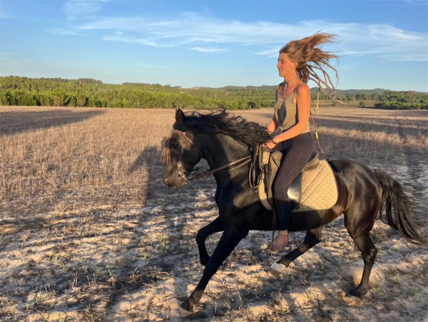 Algarve Horseriding tour in the countryside of Aljezur Rogil - What the ride is like for beginners
