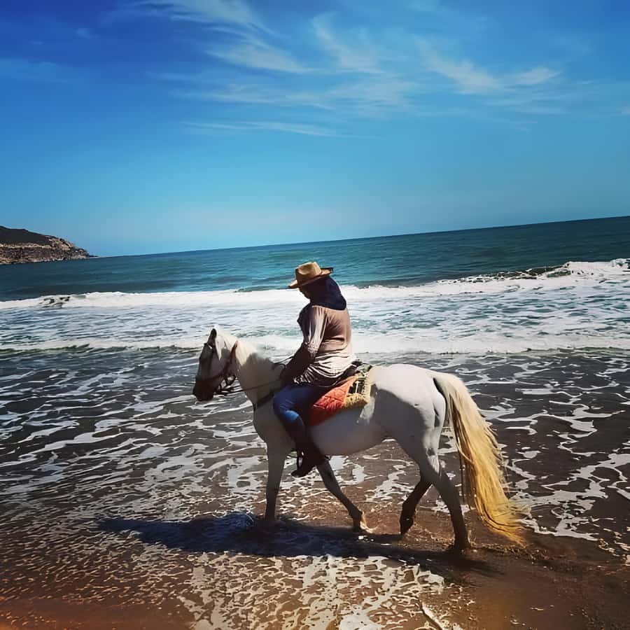 Algeria Daytour : Snorkeling & Horse Riding with lunch - A full day beyond central Algiers
