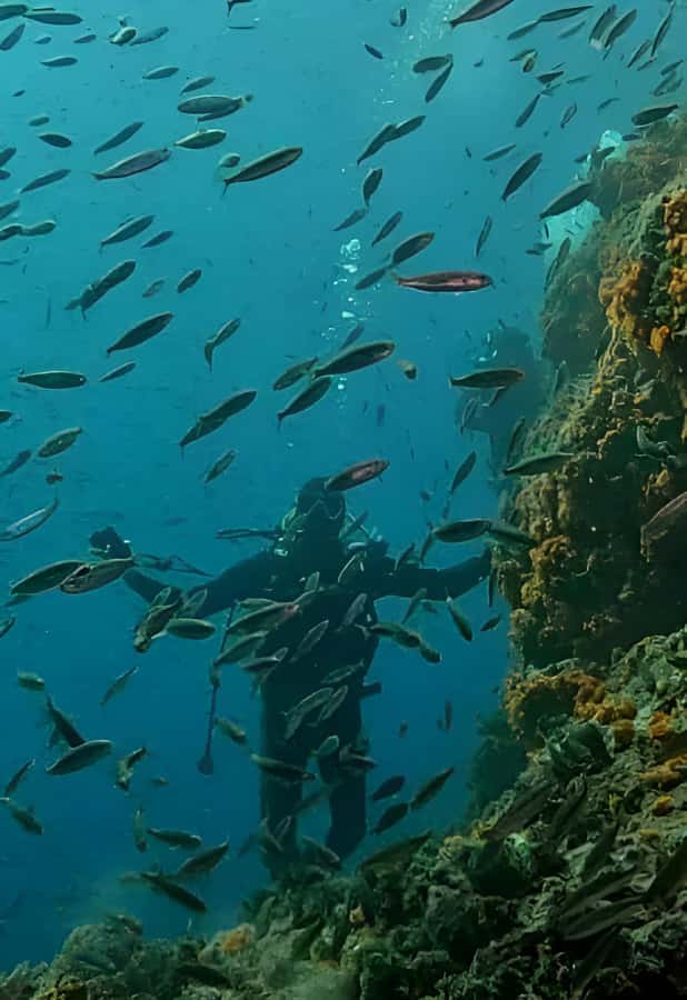 Algeria Daytour : Snorkeling & Horse Riding with lunch - The morning ride through fields, forest, or beach