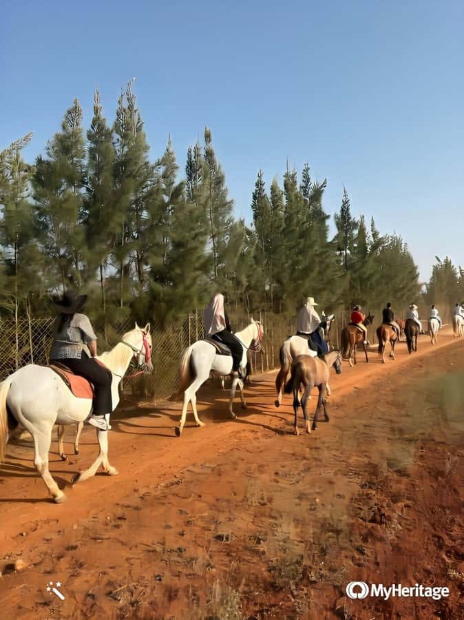 Algeria Daytour : Snorkeling & Horse Riding with lunch - Four hours at Ain Taya